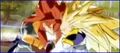 Combinedfusionkamehameha