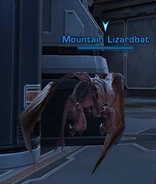 Mountain Lizardbat