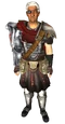 Ron the Narrator