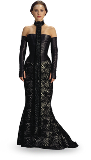 Padme amidala detail