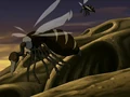 Buzzard wasps.png