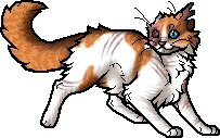 Brightheart.apprentice.alt