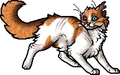 Brightheart.apprentice.alt