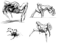 Omo-paramite-concept