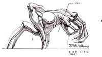Paramite conceptual