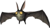 Giant Bat 1 (FFXI)
