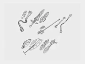 Setori017