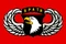 SW&TR Flag 2