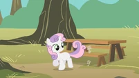 Sweetie Belle sweeping with tail S01E18