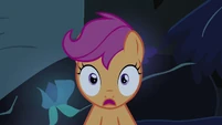 Scootaloo surprised S3E06