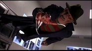Freddy Wallwalk