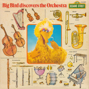 Album.bigbirdorchestra