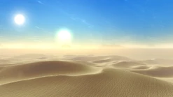 Dune Sea Landscape