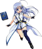 Reinforce Zwei