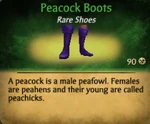 Peacock boots