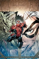 Sensational Spider-Man Vol 2 24 Textless
