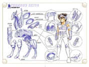 Pegasus Cloth V-01