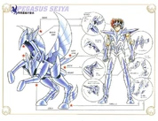 Pegasus Cloth V-05