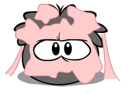 Black Puffle Covered in gum