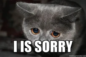 Sad Cat