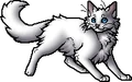 Frostfur.apprentice