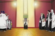 Mayuri confers his findings to the other captains
