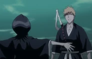 Ep318RukiaStopsIchigo