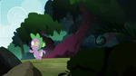 The timberwolves chasing after Spike S3E9