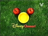DisneyPicnic1999