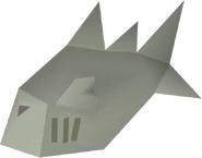 Unusual fish detail