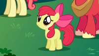 Apple Bloom "Aren't you going to stay for brunch?" S1E01
