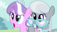 Diamond Tiara and Silver Spoon surprised S02E06