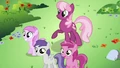 Cheerilee 5 S2E6.png