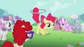 Apple Bloom about to perform a trick S2E06.png