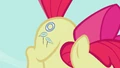 Apple Bloom Double Cutie Mark S2E6.png