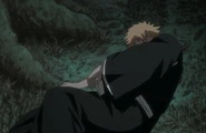 Ep317IchigoCrashLands