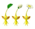 Three Yellow Pikmin