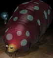 Empress Bulblax