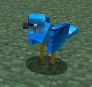 Blue Bird