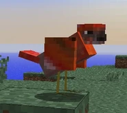 Red Bird