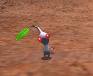 White Pikmin