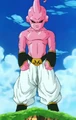 MajinBuuKidDebutNV.png