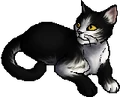 Patchpelt.star