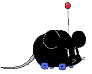 Chuboom