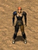 FoT Torn ingame