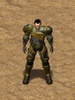 FoT Stein ingame