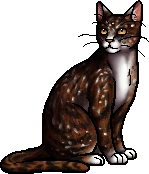 Spottedpelt.warrior