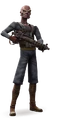 Gwarm detail.png