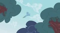 Rainbow flying by S1E5