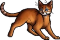 Heathertail.apprentice.alt